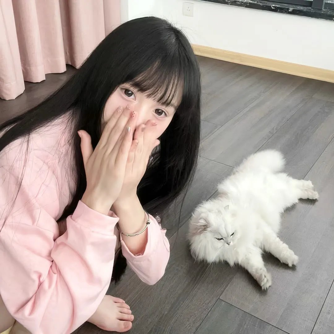 狐狸猎手